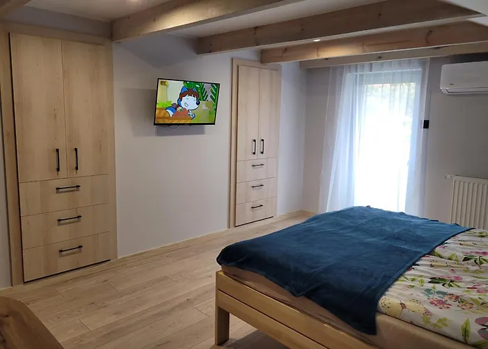 公寓 Bocian Goluchow